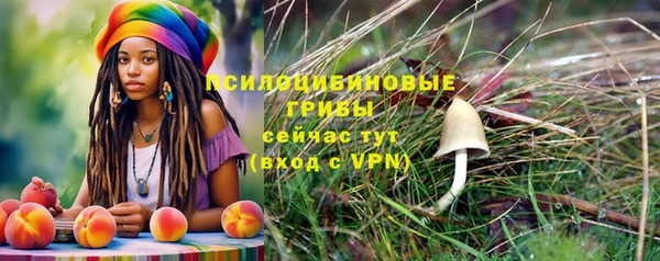 гашик Абинск