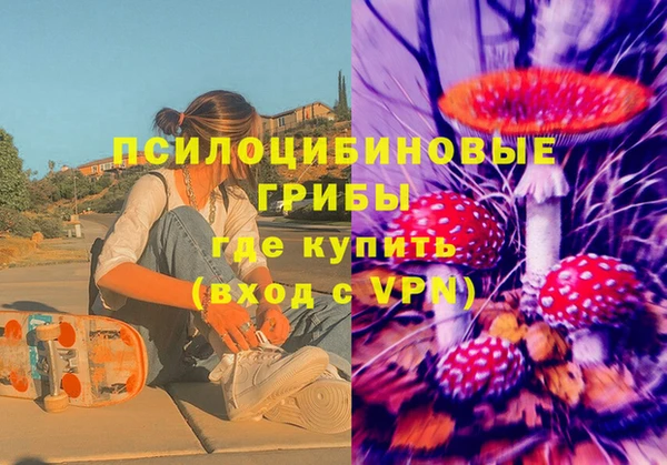 гашик Абинск