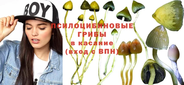 хмурый Дмитров