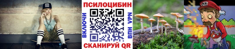 Псилоцибиновые грибы Psilocybine cubensis  Красавино 